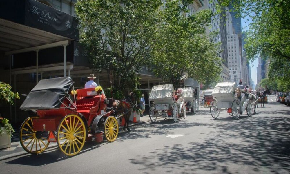 Horse Carriage, NYC, New York, New York City, Central Park, Ride, DMC, Destination Management